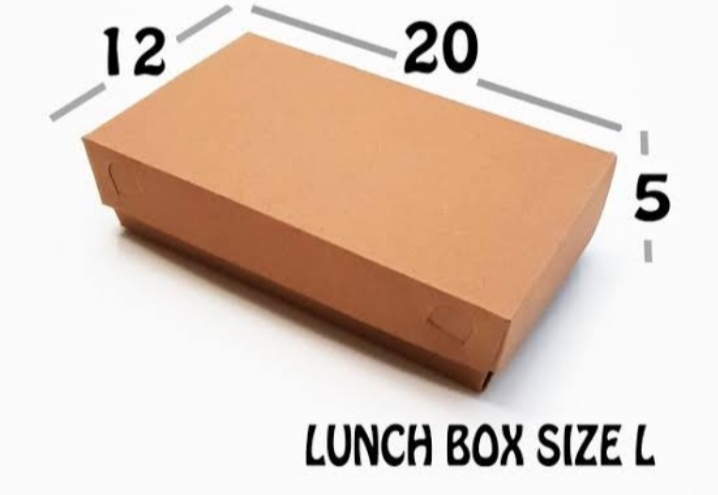 Kotak makanan berbahan dasar kertas